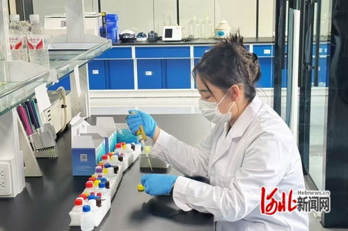 河北遵化 特色產業激活縣域經濟發展新動能